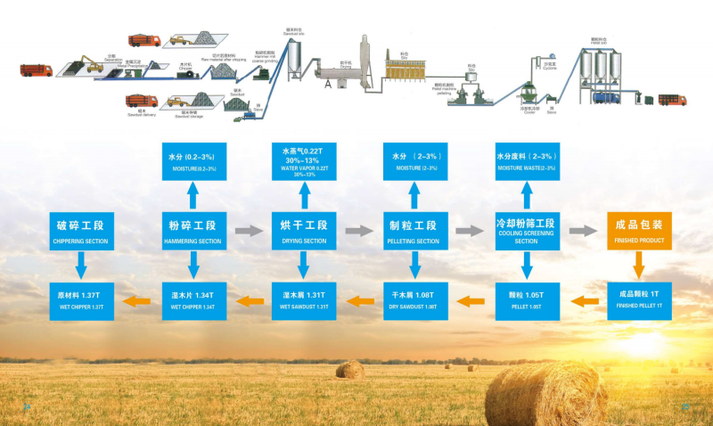 开云宣传册_13 - 副本.png